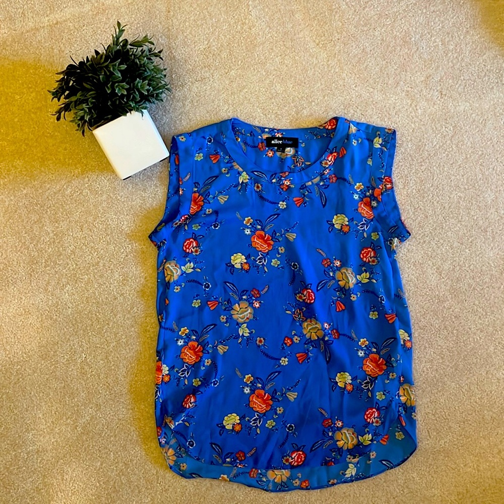 Alice Blue Blouse